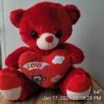 50cm Teddy Bear 2